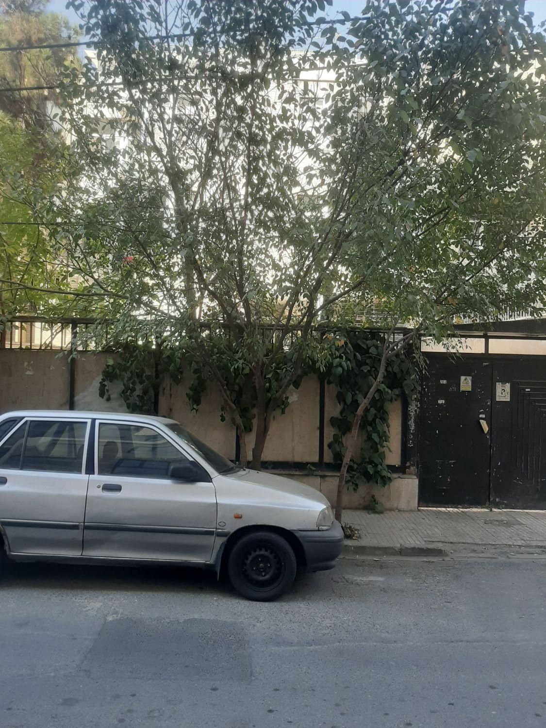 مستغلات ۵۰۰ متر بنا و دارای ۲۵۰ متر حیاط زیبا|اجارهٔ خانه و ویلا|تهران, ایرانشهر|دیوار