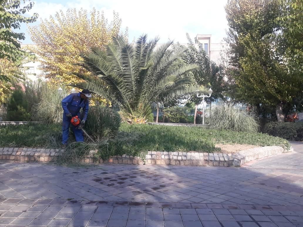 خدمات نوین باغبانی(متین)|خدمات باغبانی و درختکاری|تهران, فلاح|دیوار