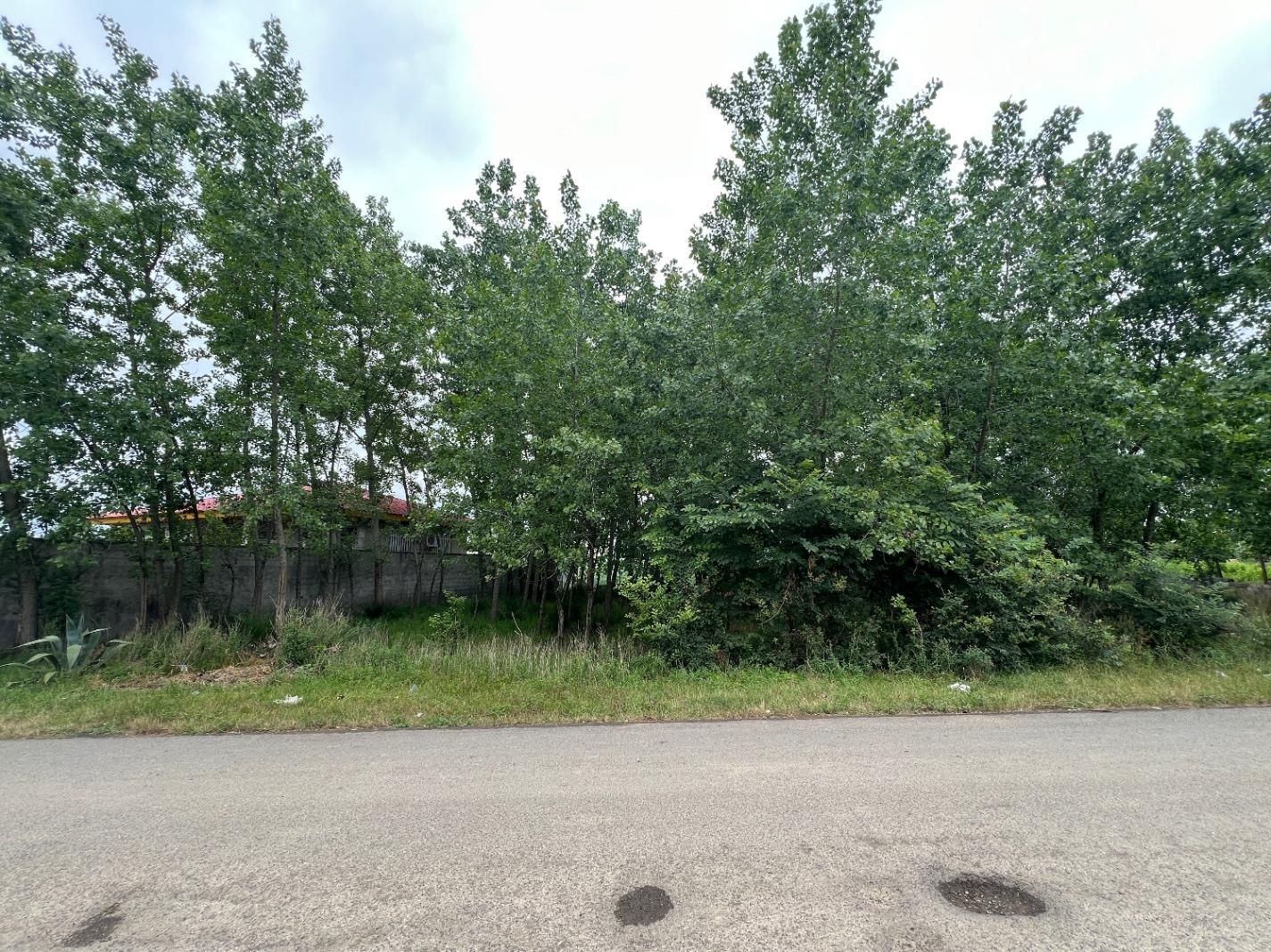 ۷۰۰ متر زمین سیاه اسطلخ برِ جاده|فروش زمین و ملک کلنگی|رشت, سیا اسطلخ|دیوار