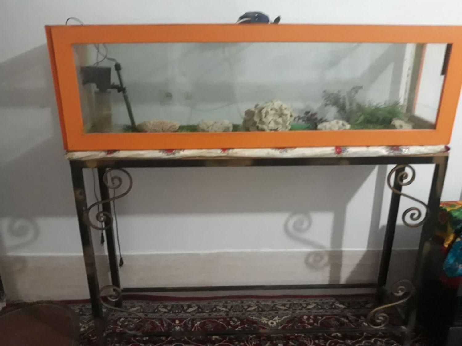 تخت نوزاد یخچال وفریزه هیمالیا ارج واکواریوم|تخت و صندلی بچه|خمینی‌شهر, |دیوار