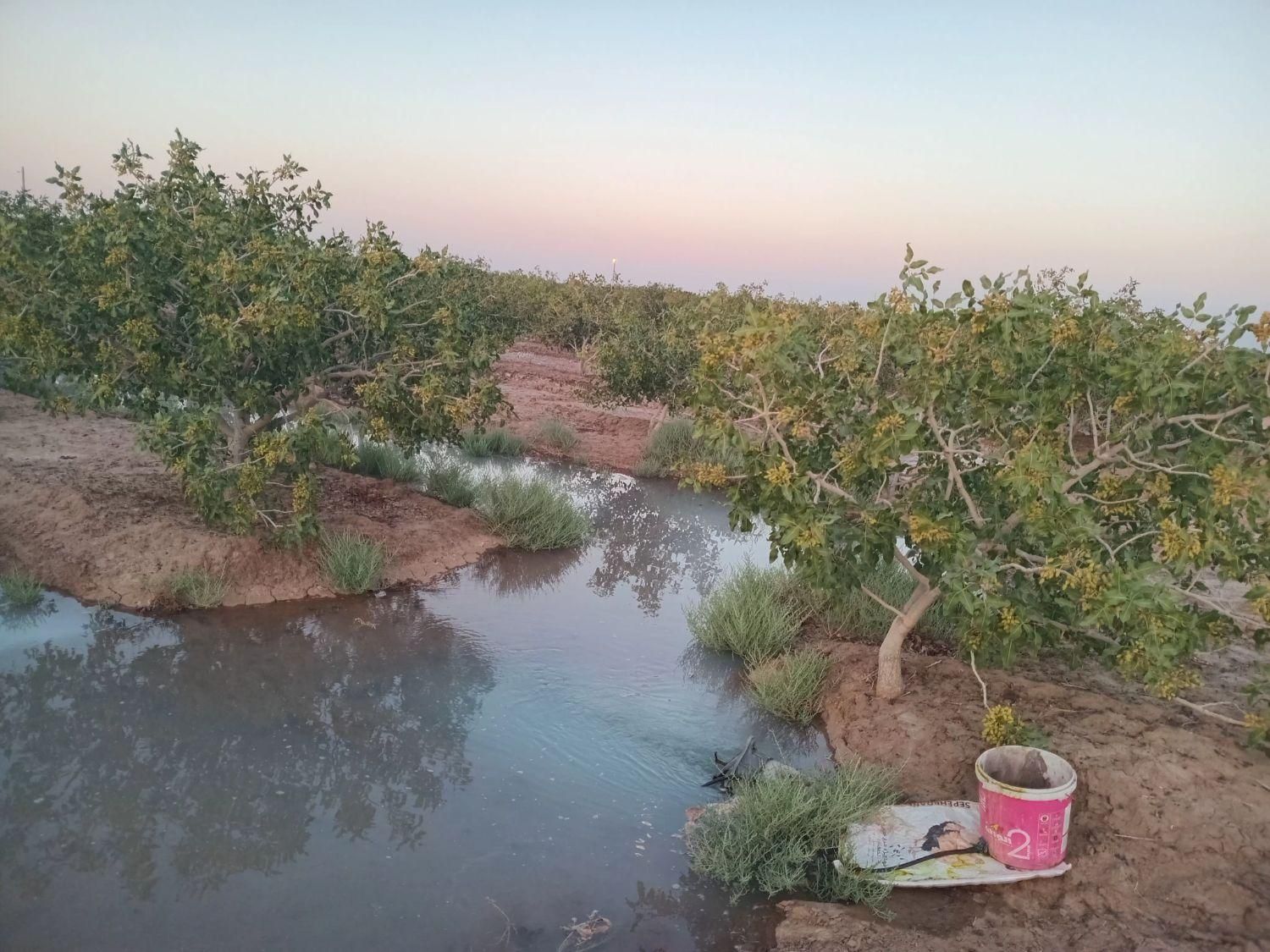 باغ فروشی4ساعت آب مدار24|فروش زمین و ملک کلنگی|مه ولات, |دیوار