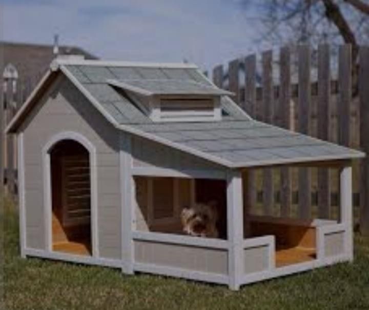 انواع لانه سگ|لوازم جانبی حیوانات|رشت, انصاری|دیوار