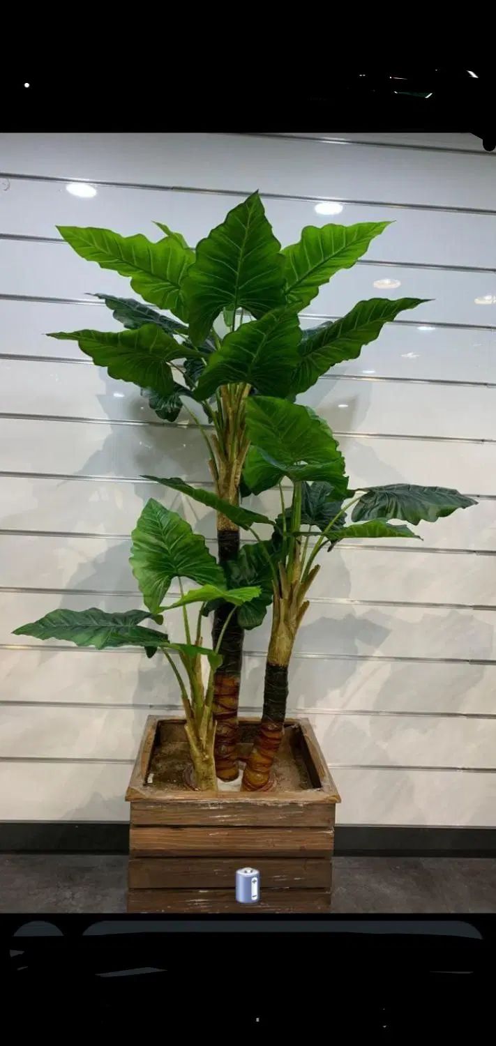 سه تنه درخچه|گل مصنوعی|تهران, مشیریه|دیوار