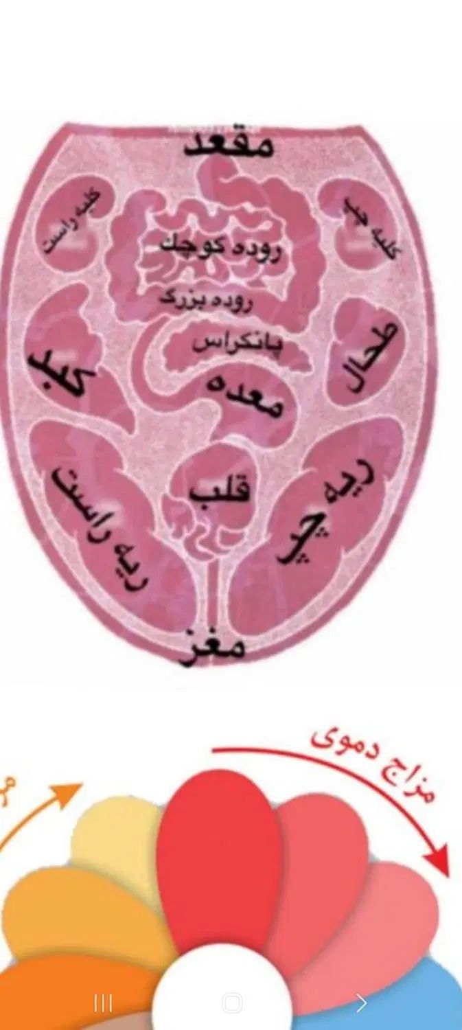 طب سنتی به شما کمک میکنه که سالم زندگی کنید|آرایشی، بهداشتی، درمانی|کرمانشاه, |دیوار