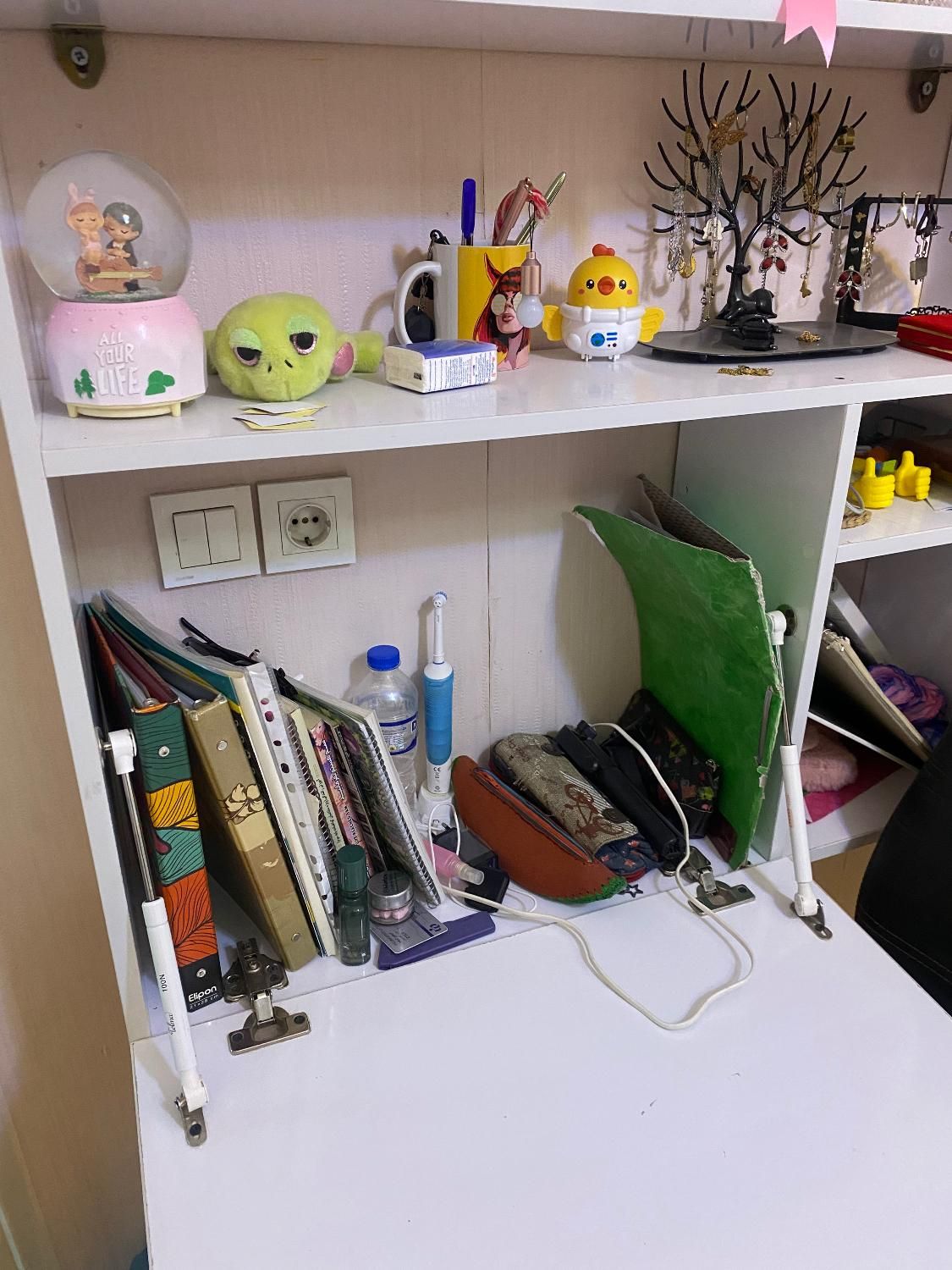 کتابخونه در دار سالم|کتابخانه، شلف، قفسه‌های دیواری|محمدیه-قزوین, |دیوار