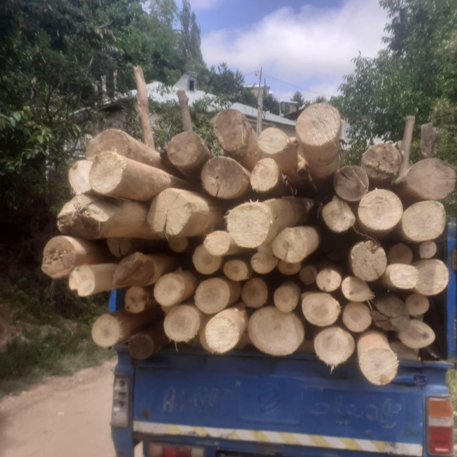 خریدار چوب|خدمات باغبانی و درختکاری|اردبیل, |دیوار