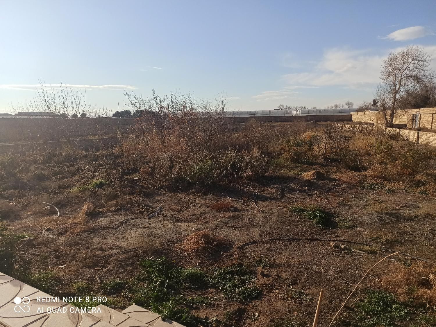 11هزار متر 4دیواری مناسب گلخانه|فروش دفتر صنعتی، کشاورزی، تجاری|ورامین, ورامین|دیوار