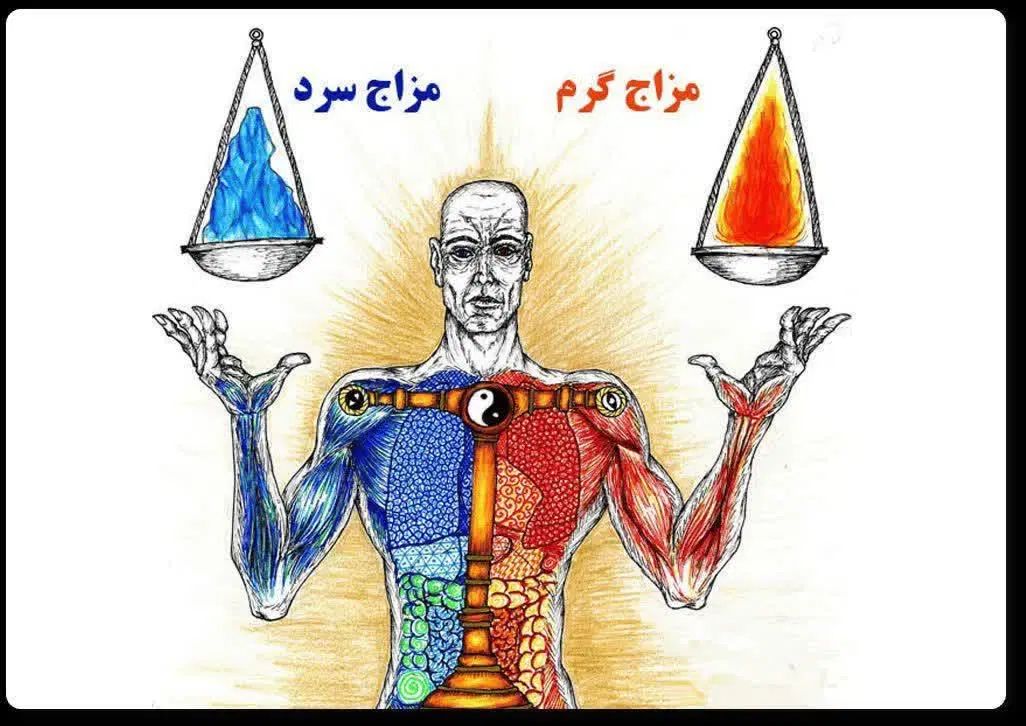 مشاور طب سنتی و کارشناس ارشد کارآفرینی|خدمات آموزشی|اصفهان, طامه|دیوار