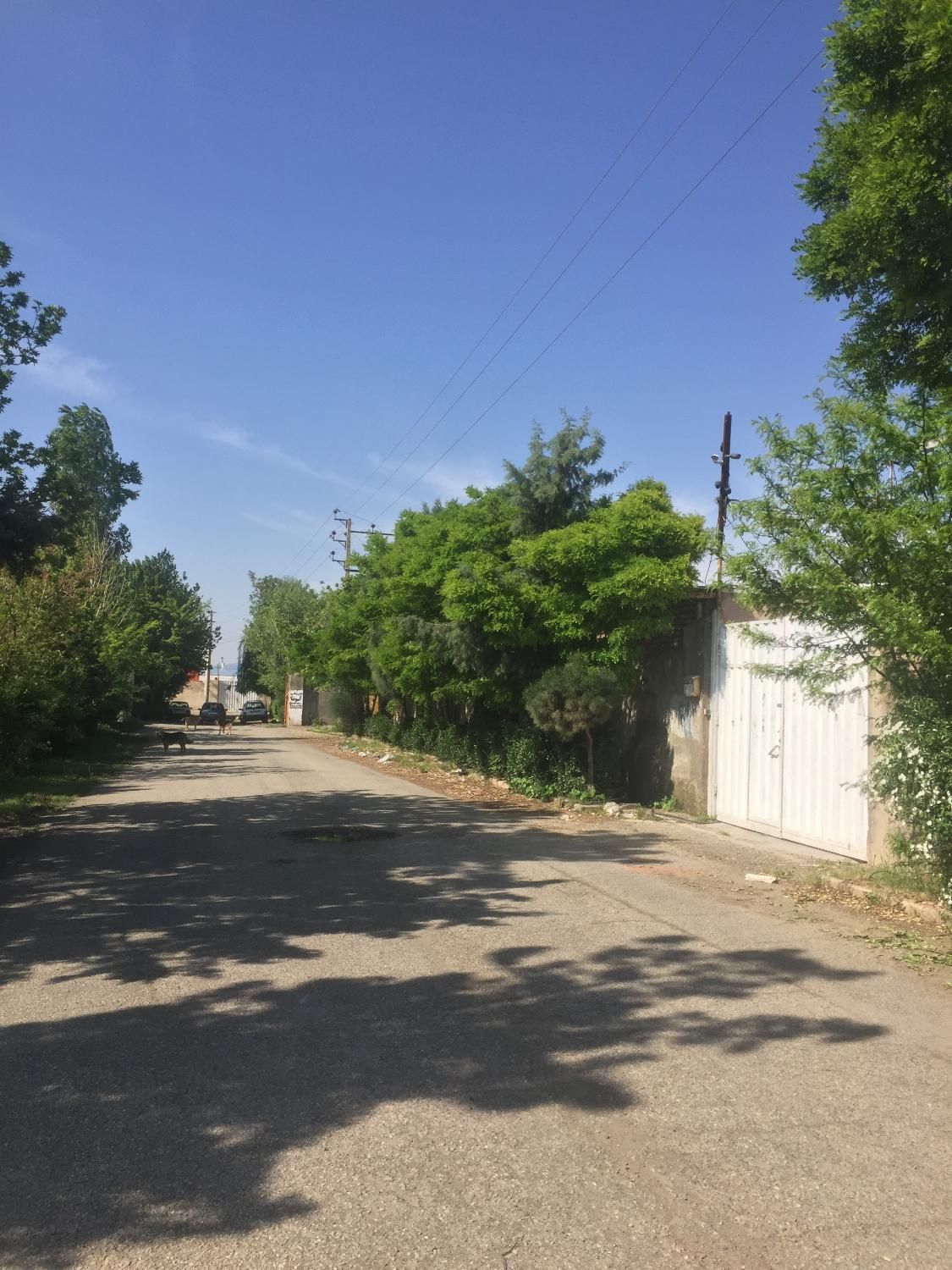 فروش سوله ۱۲۰ متر برق ۳ فاز ارتفاع ۷م لوکیشن صنعتی|فروش دفتر صنعتی، کشاورزی، تجاری|کرج, کمال‌شهر|دیوار