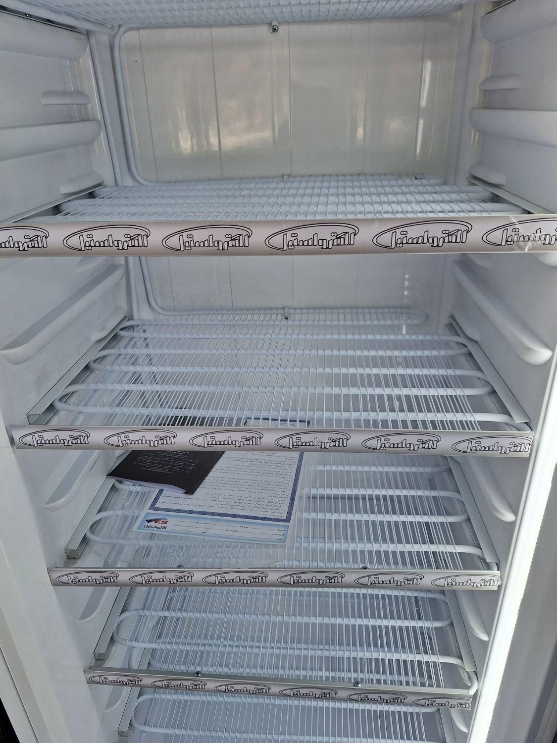 فریزر ایستاده فروشگاهی الکترواستیل|فروشگاه و مغازه|بندرعباس, |دیوار