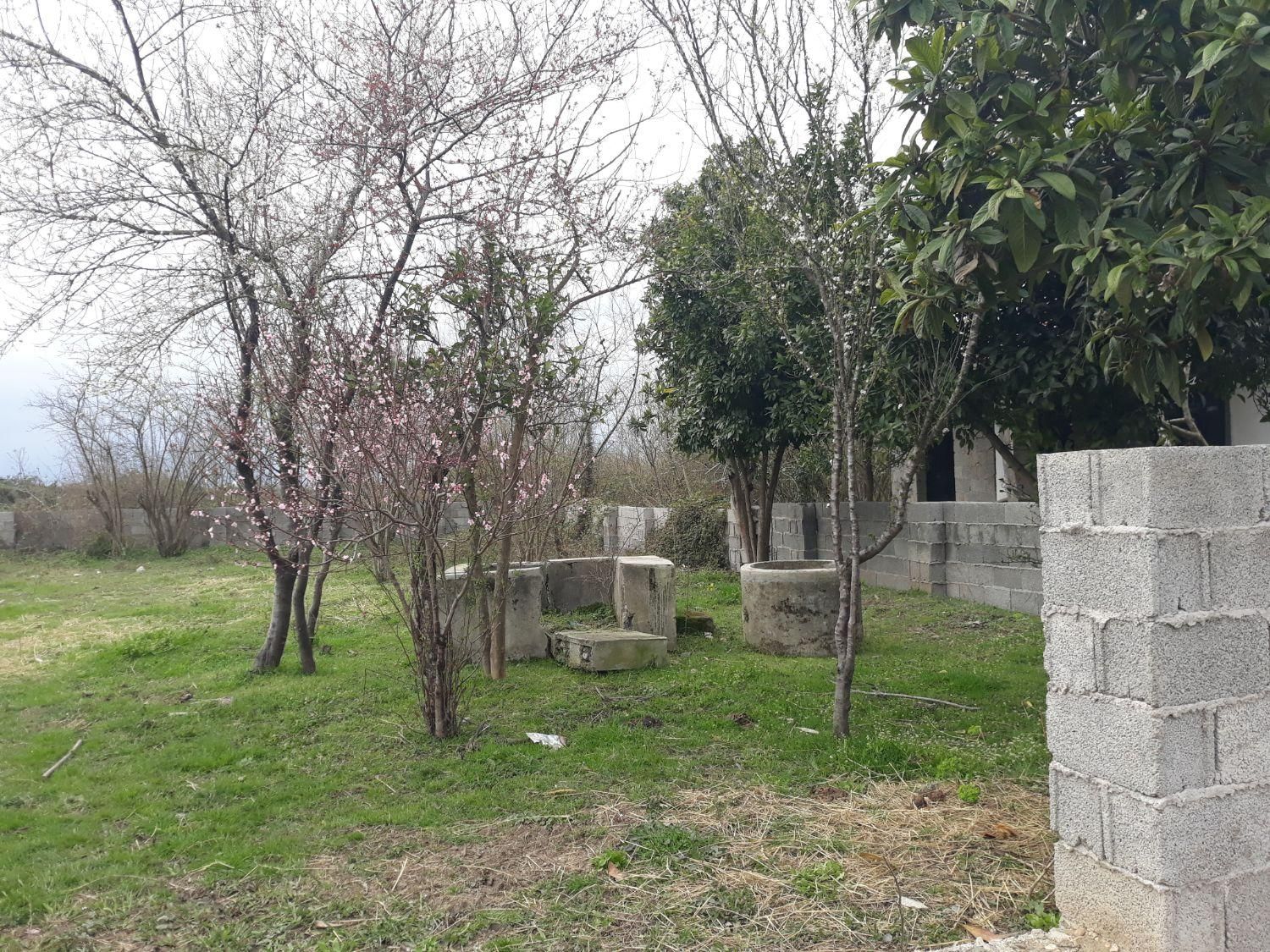 زمین ۴۱۶ متری مسکونی روستای چمن|فروش زمین و ملک کلنگی|طاهرگوراب, |دیوار