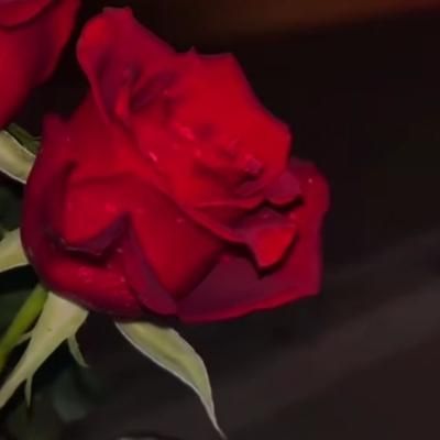 خانمی هستم که ختم قرآن صلوات زیارت عاشورا نماز|خدمات پذیرایی، مراسم|بیرجند, |دیوار