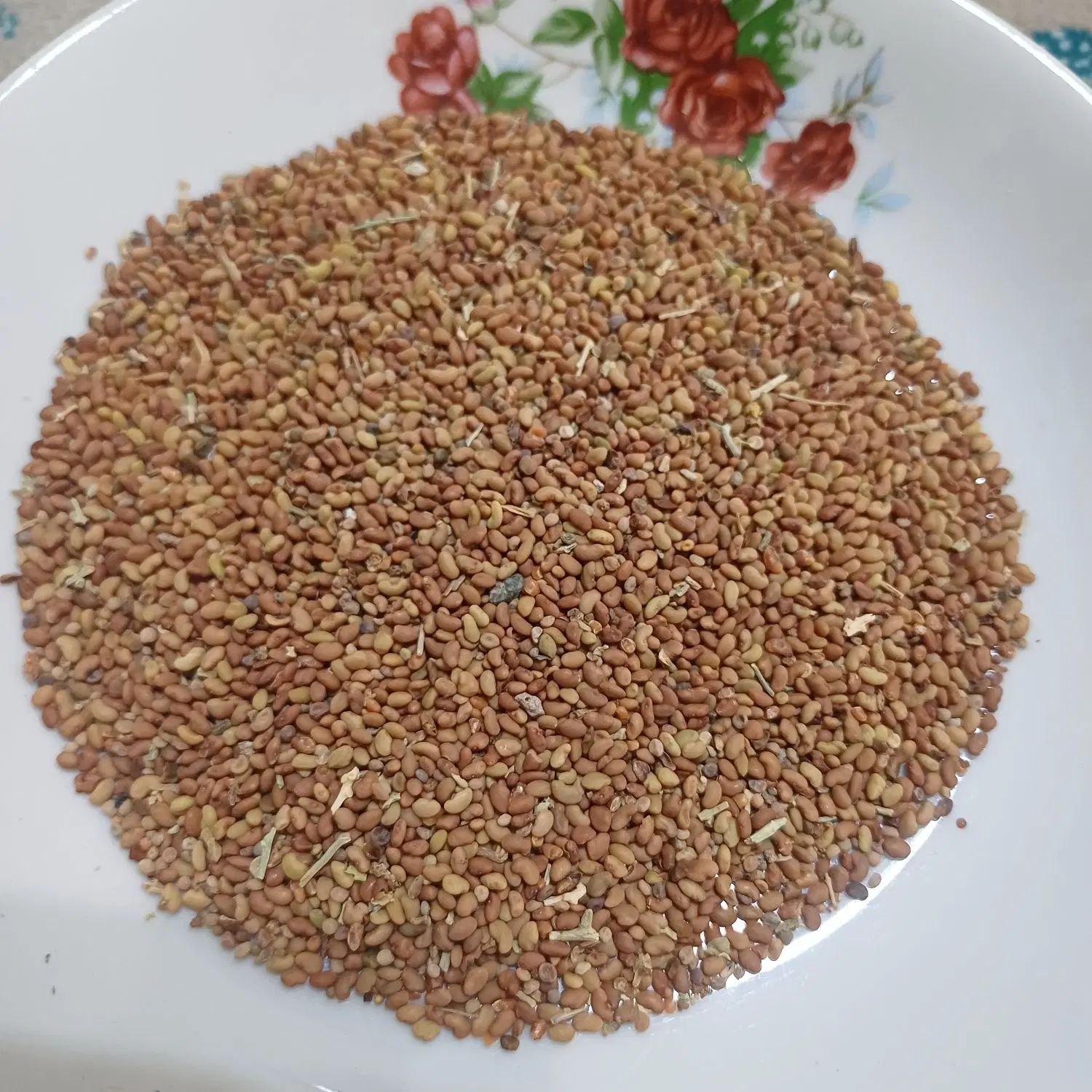 بذر یونجه همدانی|گل و گیاه طبیعی|تهران, تهرانپارس شرقی|دیوار