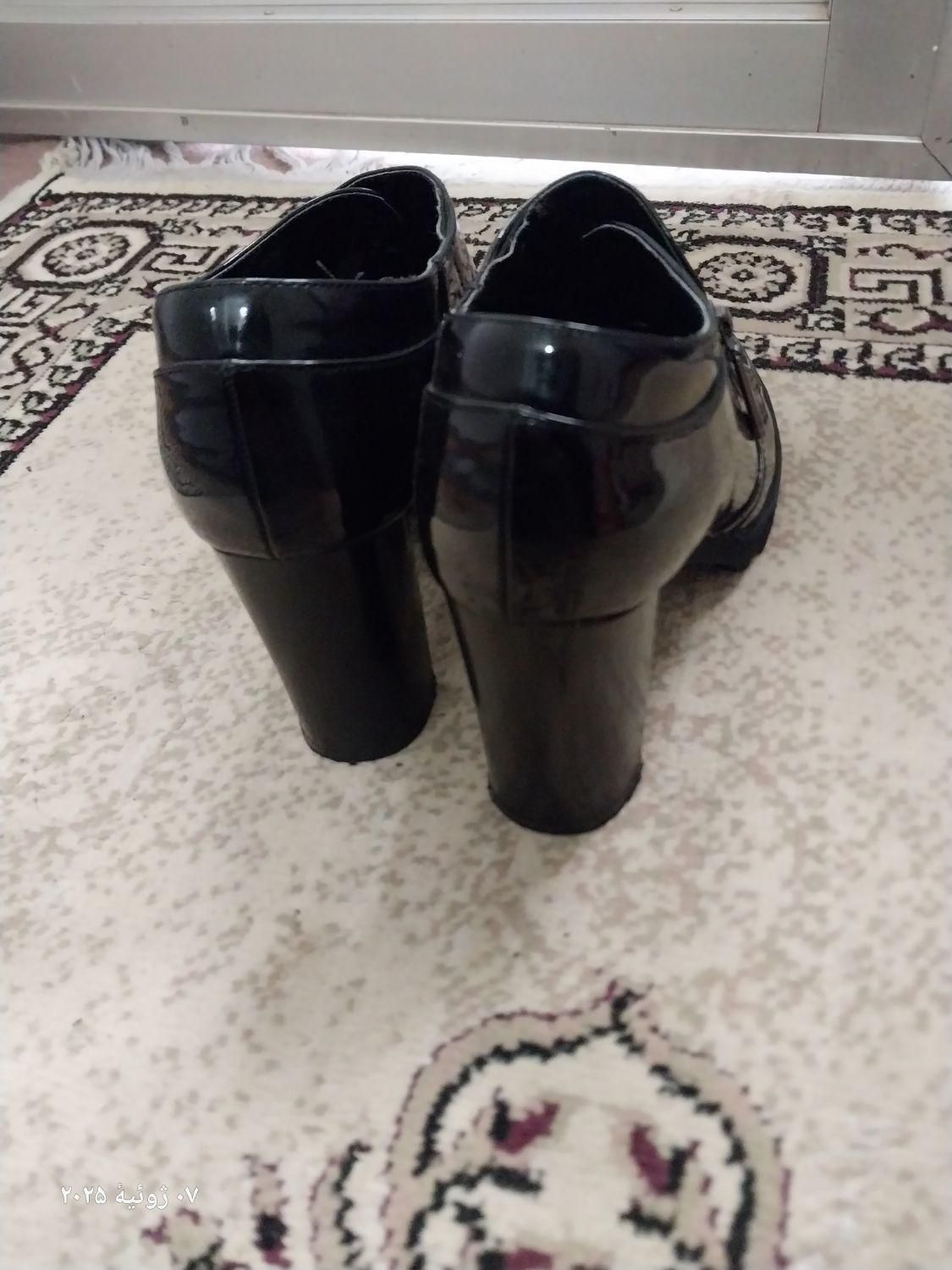 کفش زنانه|کیف، کفش، کمربند|اهر, |دیوار