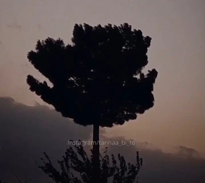 راهنمایی میخوام|فعالیت داوطلبانه|مشهد, امام خمینی|دیوار