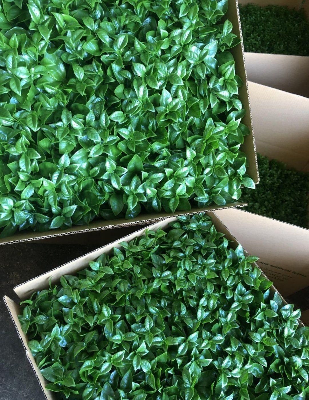 پخش عمده گرین وال گل مصنوعی|گل مصنوعی|کرمان, |دیوار