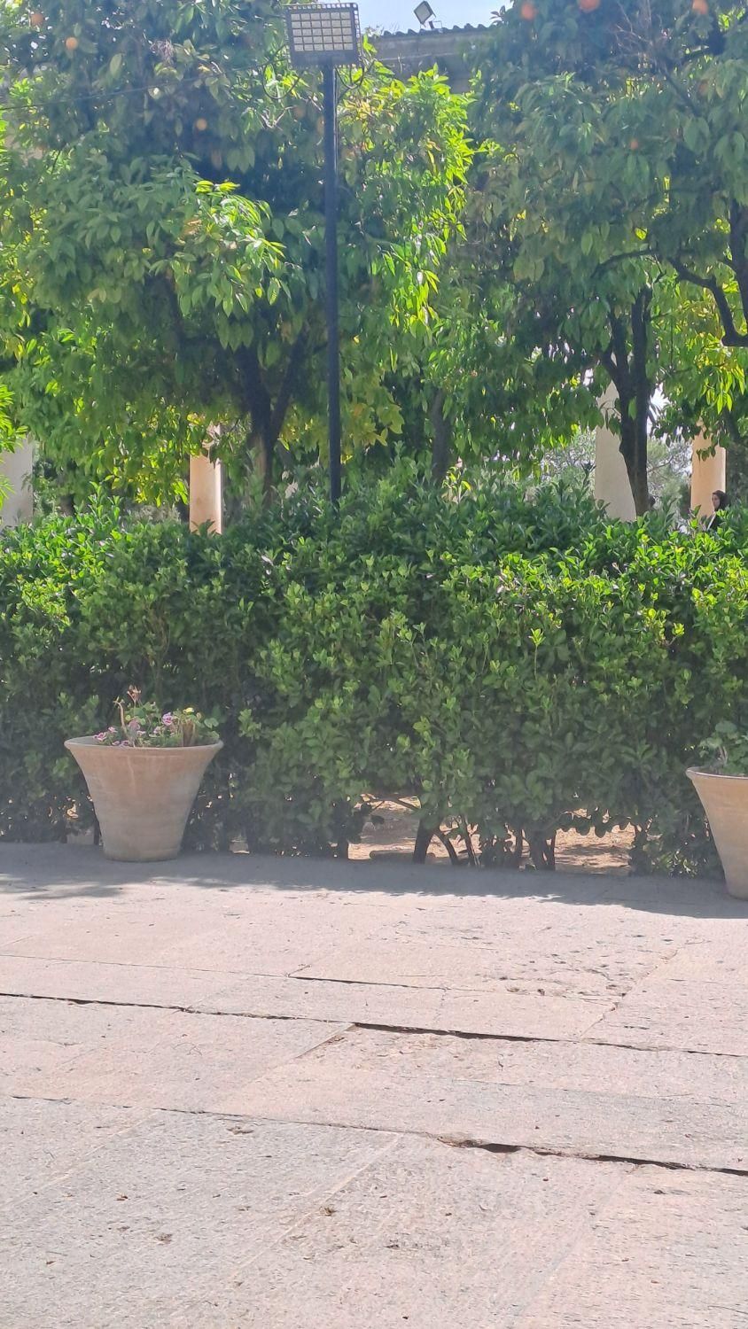 اجاره روزانه منزل مبله|اجارهٔ کوتاهمدت آپارتمان و سوئیت|شیراز, سعدیه شمالی|دیوار