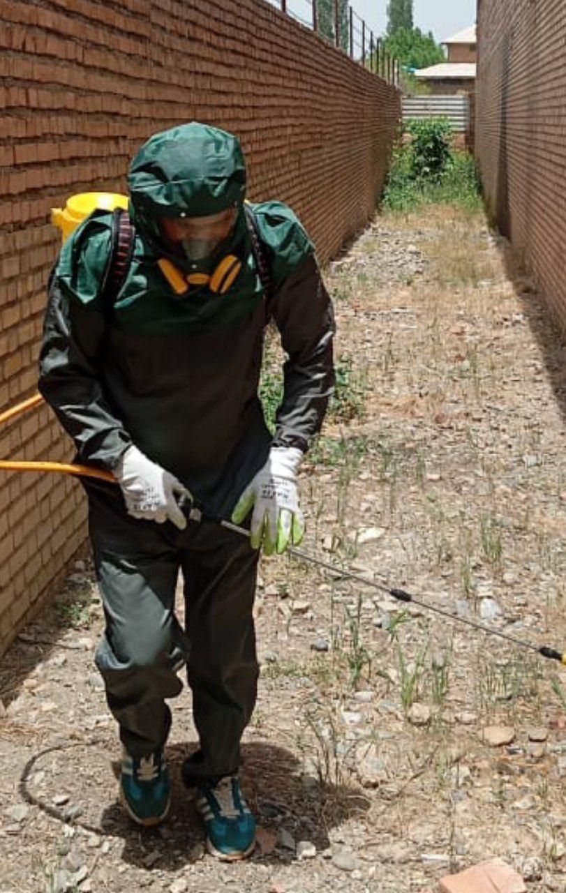 سمپاشی تضمینی ساس سم پاشی سوسک منازل|خدمات نظافت|ارومیه, |دیوار