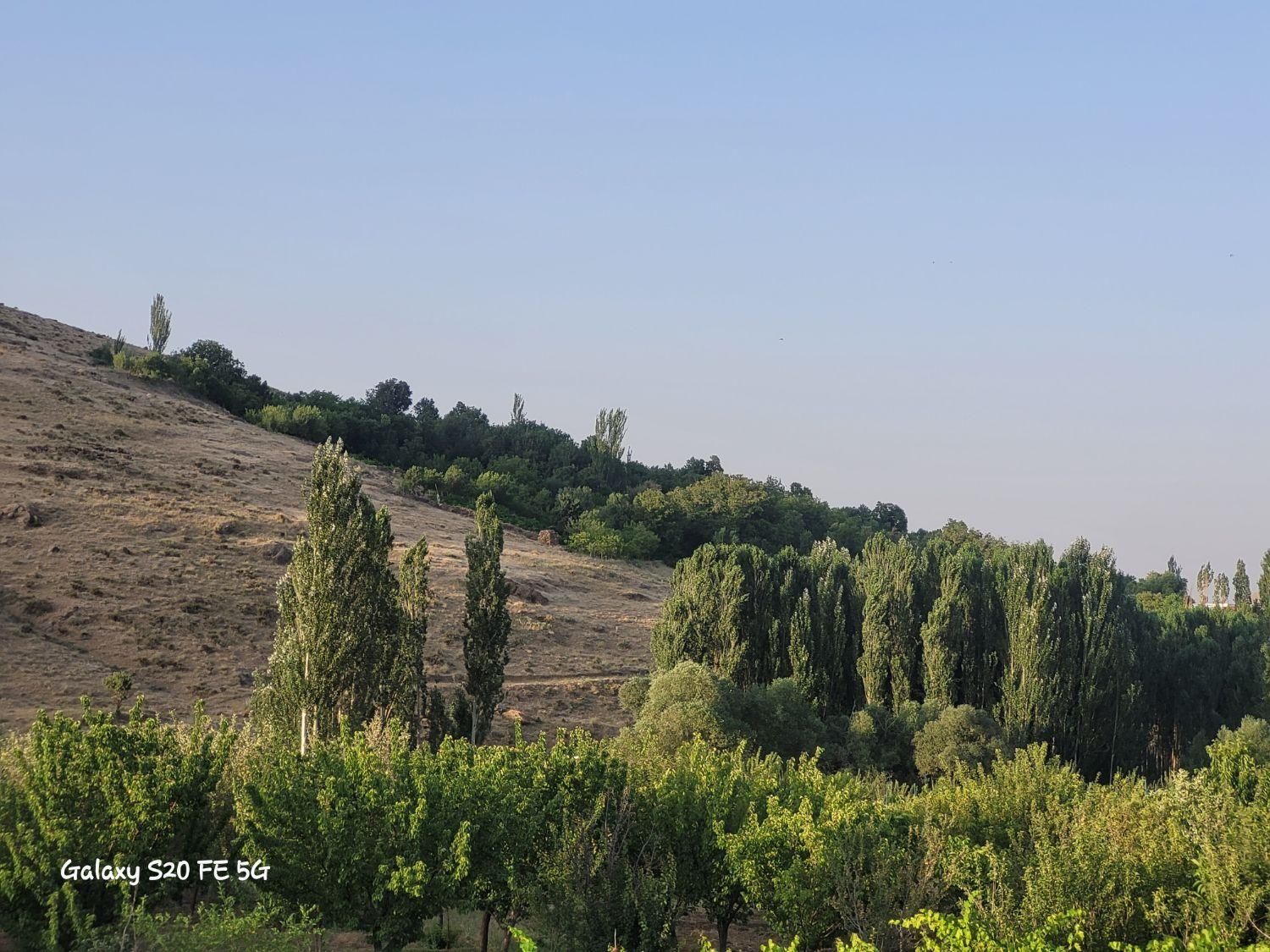 فروش زمین ۲۰۰۰ متری|فروش زمین و ملک کلنگی|فریدونشهر, |دیوار