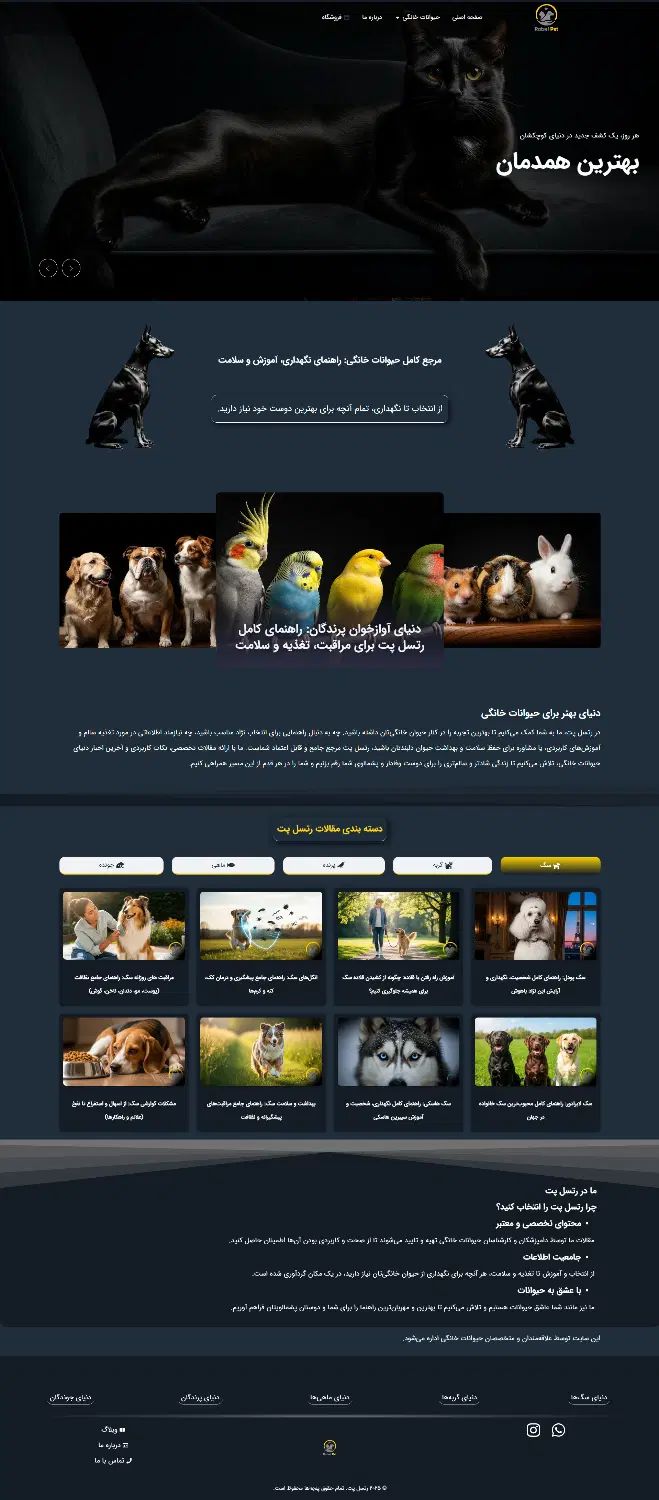 طراحی و سئو سایت اختصاصی دیجیتال مارکتینگ|خدمات رایانه‌ای و موبایل|تهران, تهرانپارس غربی|دیوار