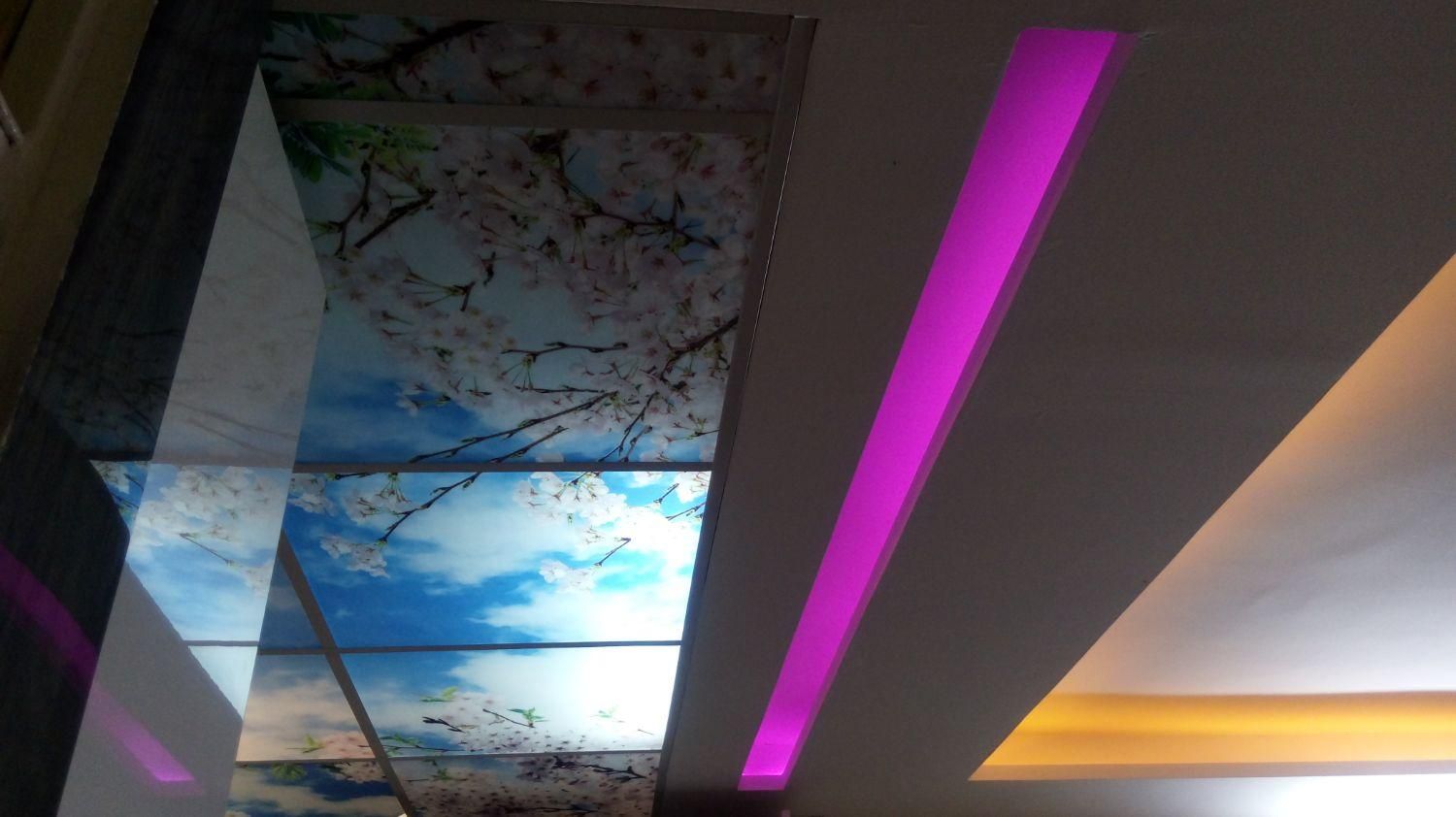 برقکار برقکش حرفه ای ۲۴ساعته|خدمات پیشه و مهارت|همدان, |دیوار