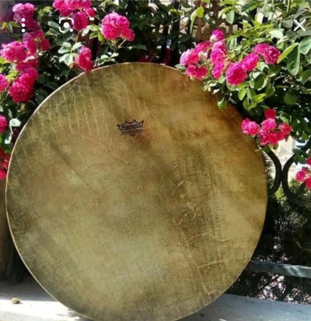 مولودی خوانی توسط بانو و آموزش دف|خدمات پذیرایی، مراسم|مشهد, نوغان|دیوار