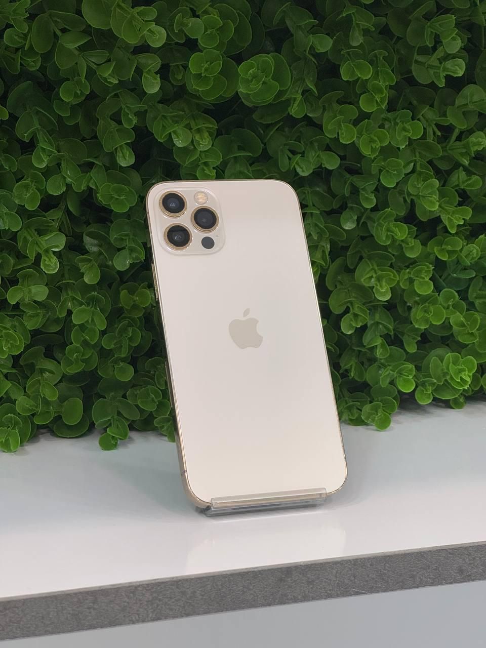 اپل iPhone 12 Pro با حافظهٔ ۲۵۶ گیگابایت|موبایل|کرج, مهرویلا جنوبی|دیوار