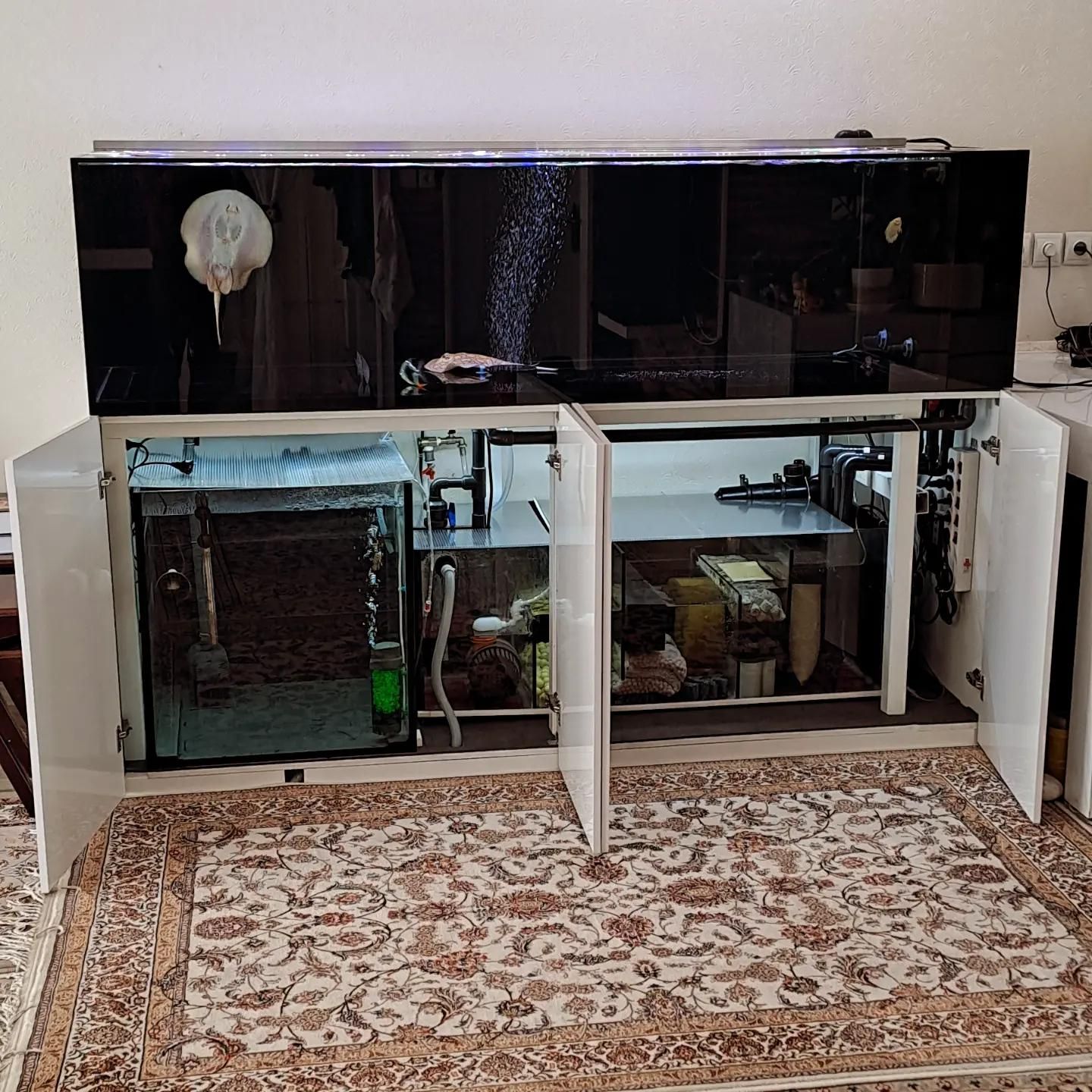 ساخت انواع اکواریوم ریملس|ماهی|اصفهان, باغ دریاچه|دیوار