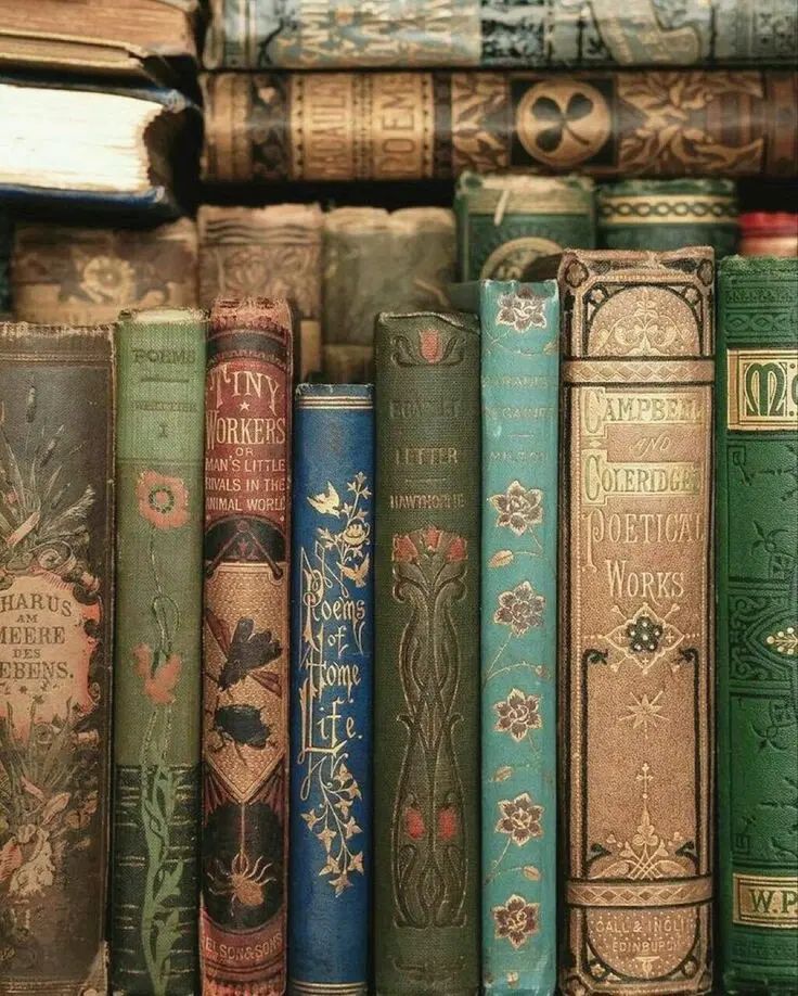 کتاب حقوقی و پزشکی نصف نرخ بازار|کتاب و مجله آموزشی|تهران, آسمان|دیوار