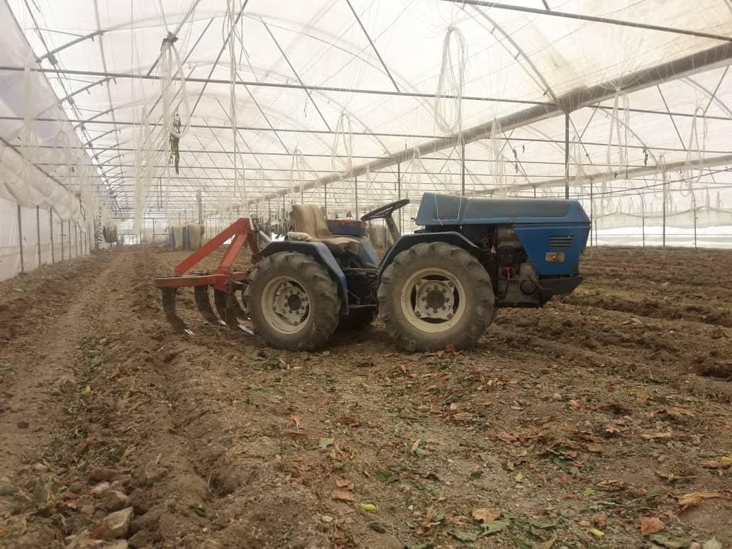 خدمات باغی و گلخانه ای|خدمات باغبانی و درختکاری|اصفهان, زیار|دیوار