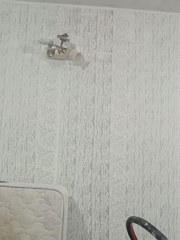 نقاشی به سبک کاغذدیواری|خدمات پیشه و مهارت|ساوه, |دیوار