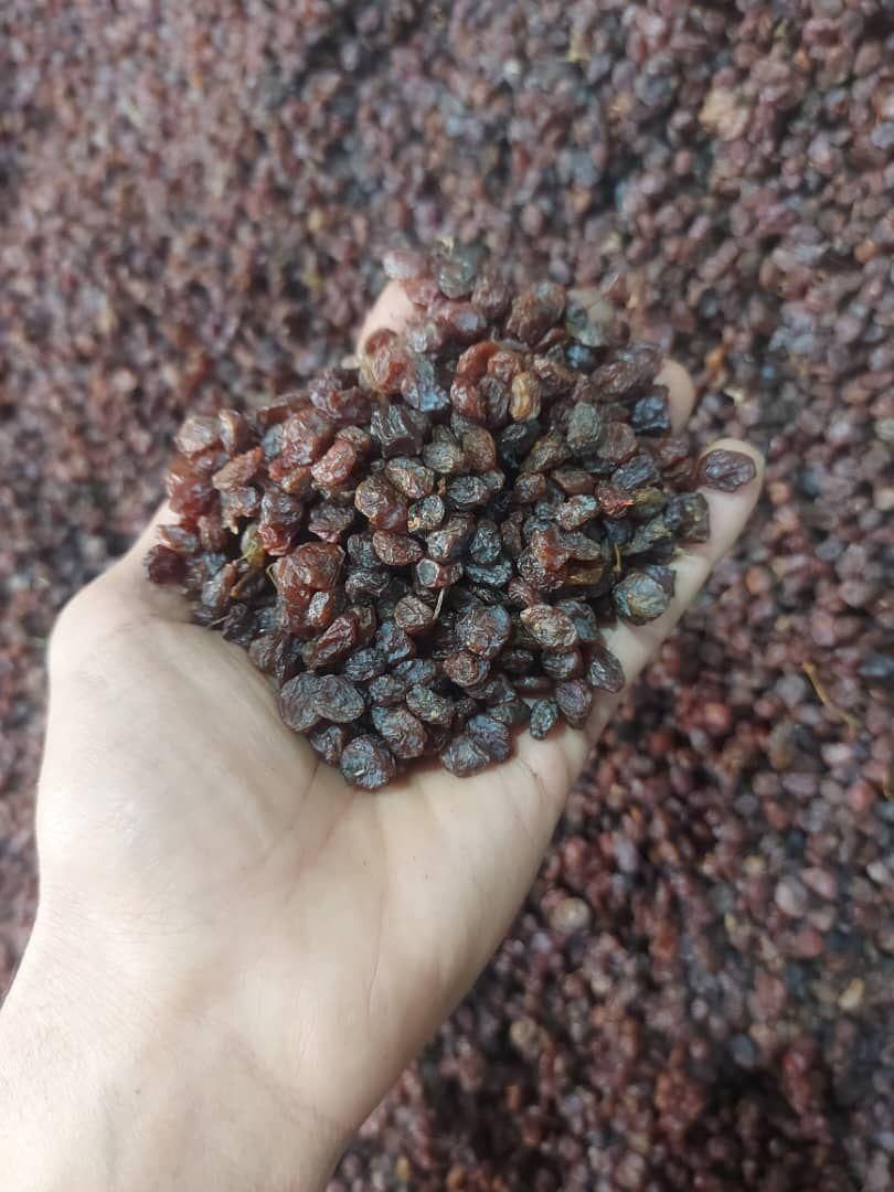 کشمش گله (درگز)و(کاشمر) مخصوص آبگیری|خوردنی و آشامیدنی|مشهد, تلگرد|دیوار