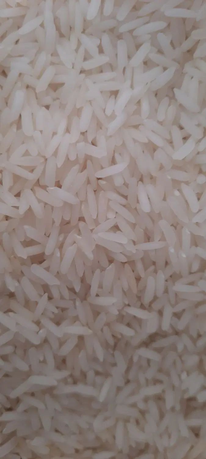 برنج هومالی کیسه۱۰کیلویی فروش به صورت عمده|خوردنی و آشامیدنی|نجف‌آباد, گلدشت|دیوار