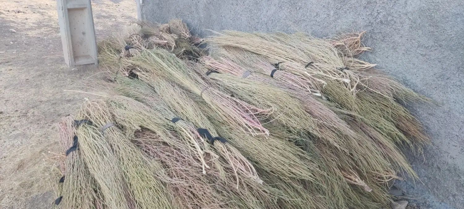 جارو فراشه ای سنتی|لوازم نظافت|کرمانشاه, |دیوار