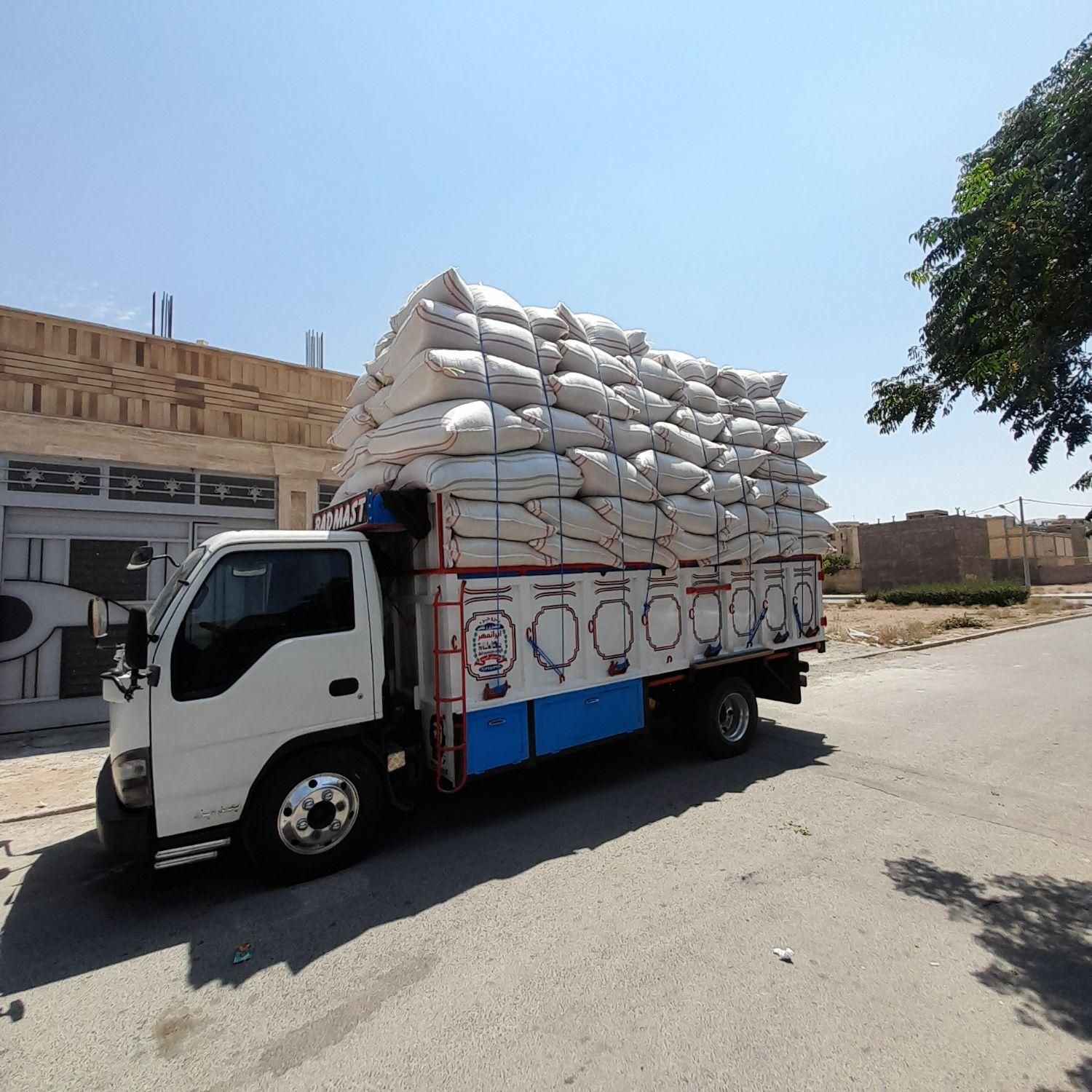 کاه گندم وجو|حیوانات مزرعه|اصفهان, اشکاوند|دیوار