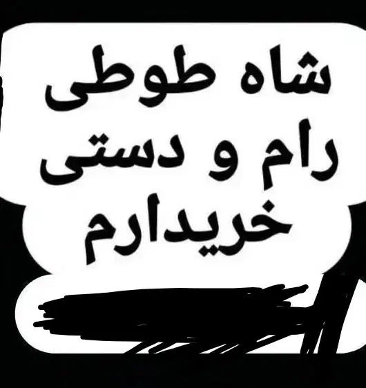 شاه طوطی سخنگو  دستی صاف بدونه عیب و ایراد|پرنده|تهران, خرمشهر|دیوار