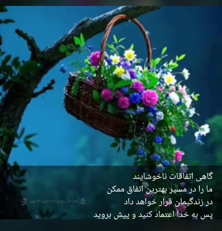 آماده همکاری|فعالیت داوطلبانه|تهران, ولنجک|دیوار