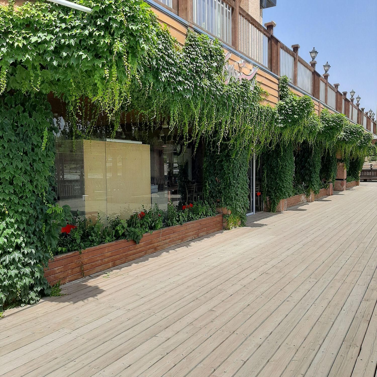 طراحی فضای سبز باغبانی هرس سمپاشی کود خاک باغچه|خدمات باغبانی و درختکاری|قم, بنیاد|دیوار