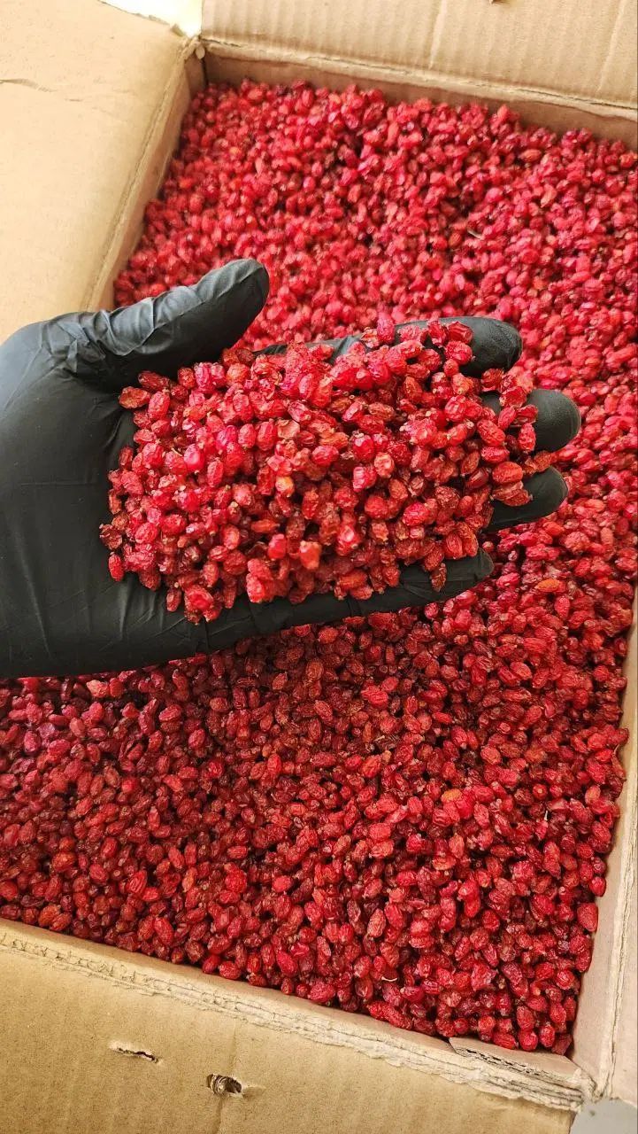 زعفران سوپر نگین خراسان|خوردنی و آشامیدنی|رشت, رودباری|دیوار