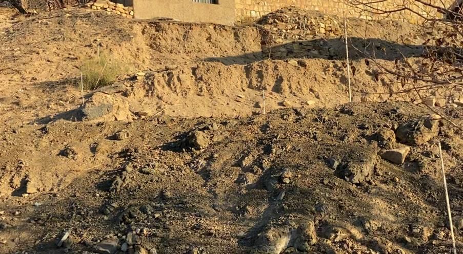 زمین با سند تکبرگ در روستای توریستی بازرجان|فروش زمین و ملک کلنگی|تفرش, |دیوار