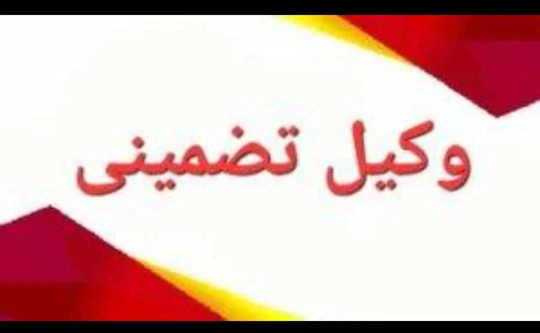 وکیل تضمینی|خدمات مالی، حسابداری، بیمه|کرج, عظیمیه|دیوار