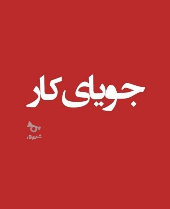جویای کار|خدمات پیشه و مهارت|اندیکا, |دیوار