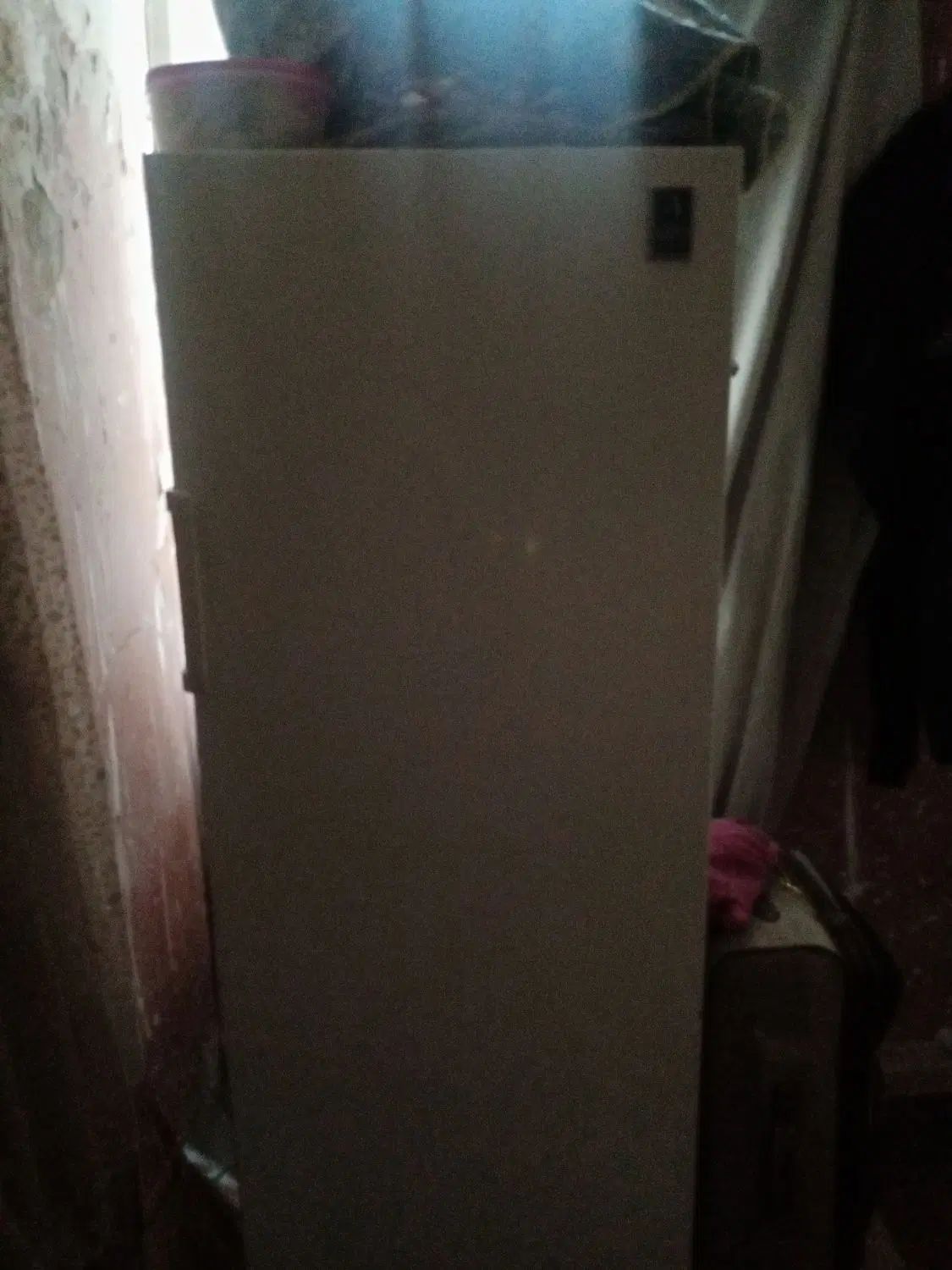 12فوت،پازس، مدل، R12X|یخچال و فریزر|تهران, اسکندری|دیوار