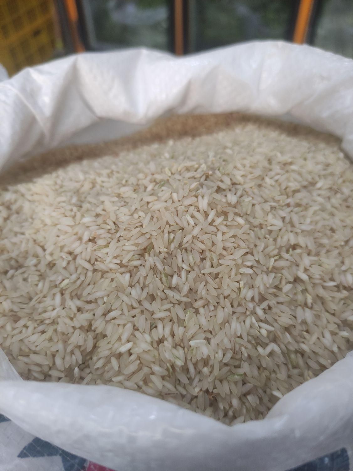 برنج کامفیروز بشرط|خوردنی و آشامیدنی|اصفهان, شیخ اشراق|دیوار