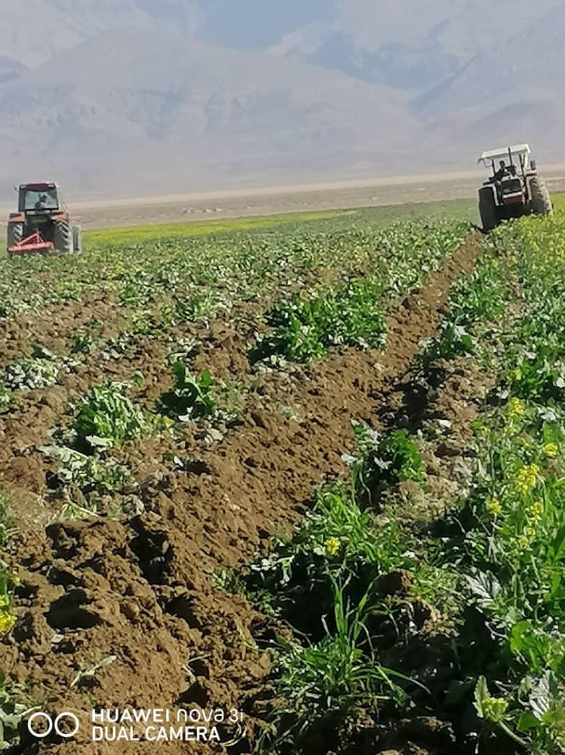 فروش ۱۱ هکتار زمین و ۲ هکتار باغ پسته جاده سروستان|فروش دفتر صنعتی، کشاورزی، تجاری|شیراز, کفترک|دیوار