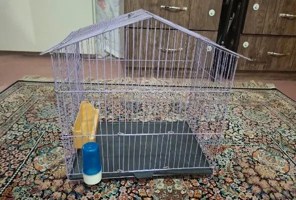 قفس پرنده سالم|پرنده|تهران, طرشت|دیوار