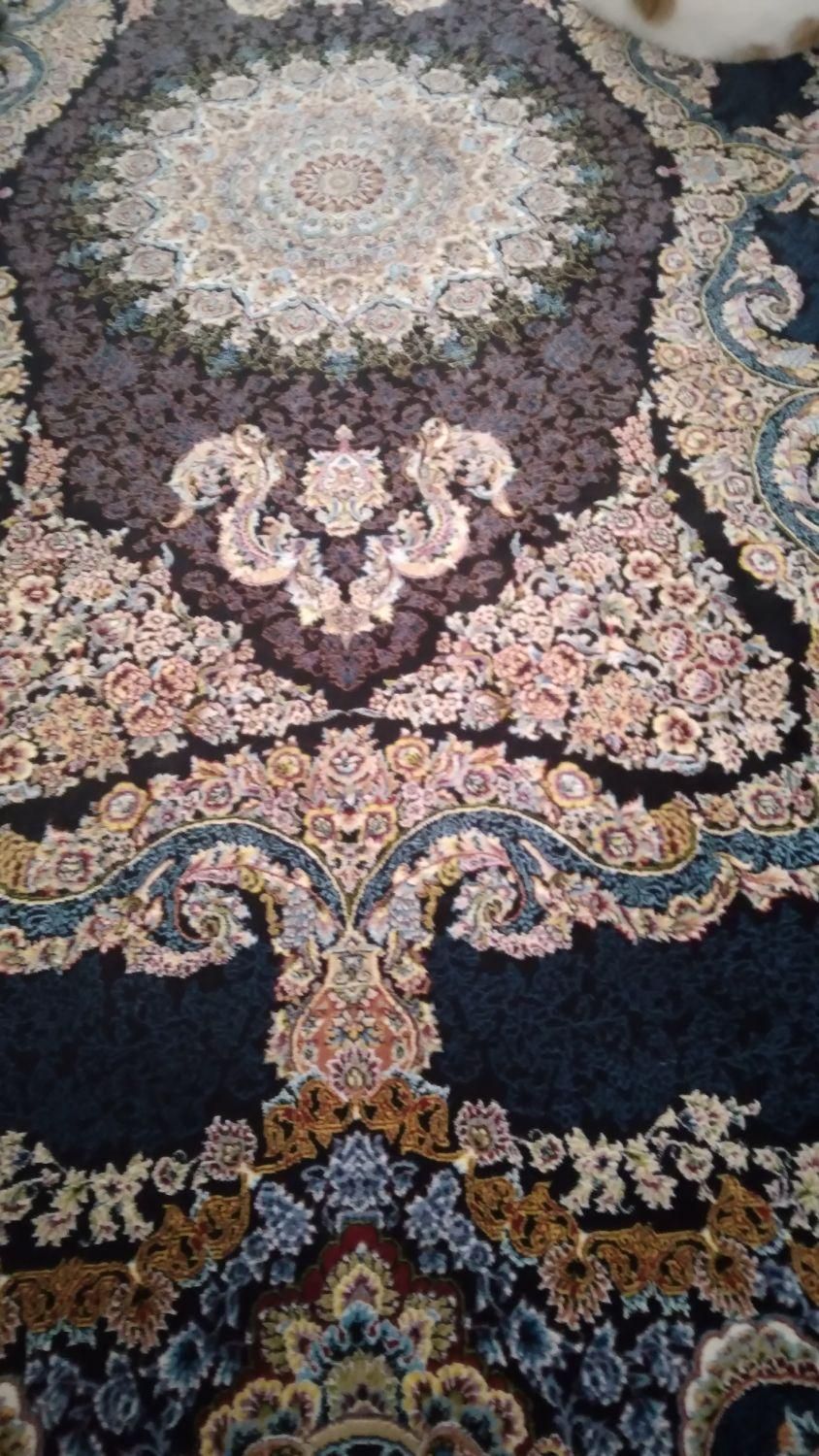 فرش ۶متری دوتخته و دوتخته ۴متری ومیزتلویزیون|فرش|رشت, حمیدیان|دیوار