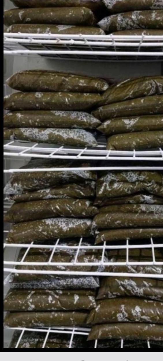 سبزی خورشتی تخفیف|خوردنی و آشامیدنی|اهواز, منبع اب|دیوار