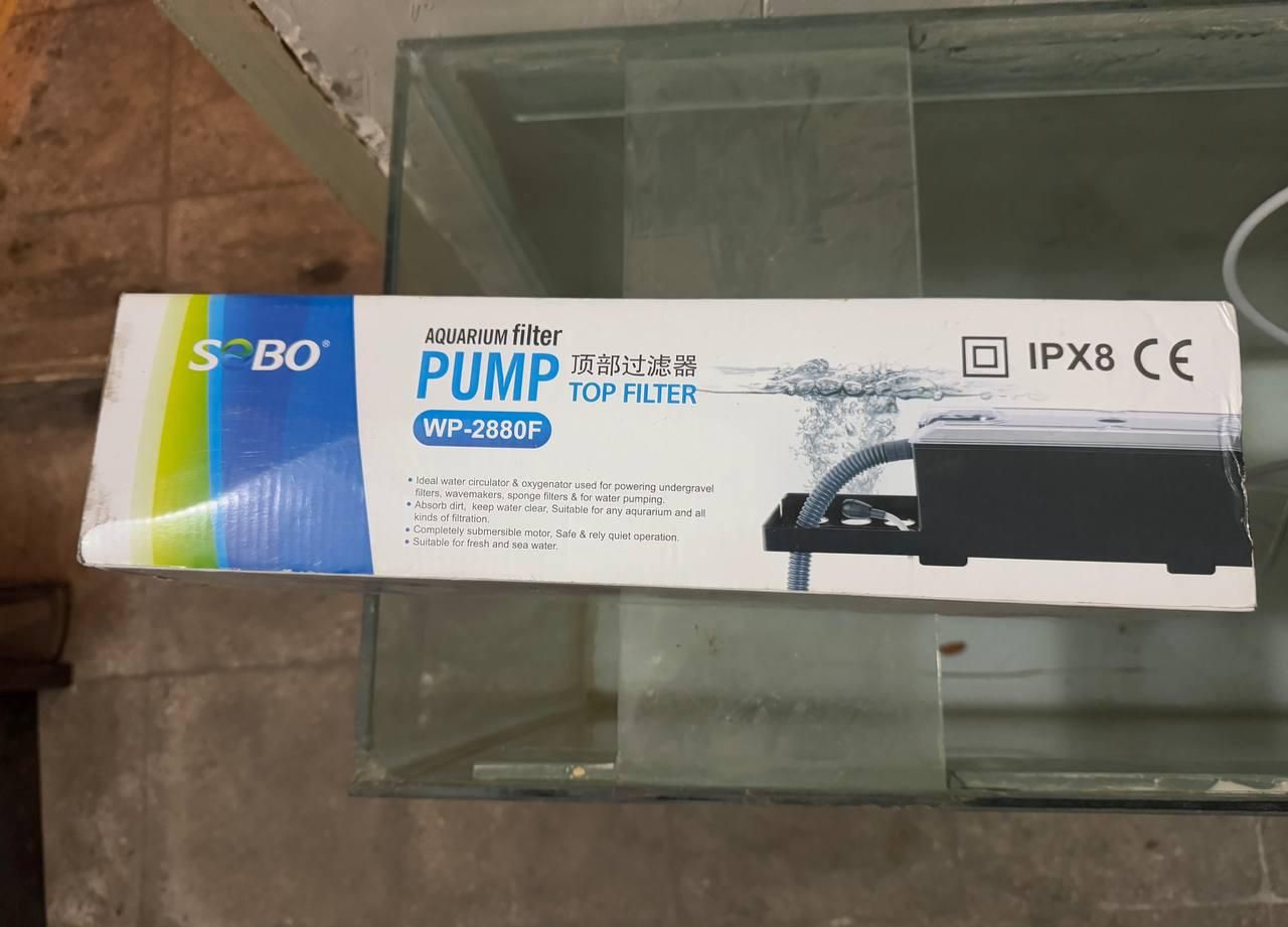 اکواریوم با شیشه و پایه و تمامی وسایل|ماهی|تهران, افسریه شمالی|دیوار