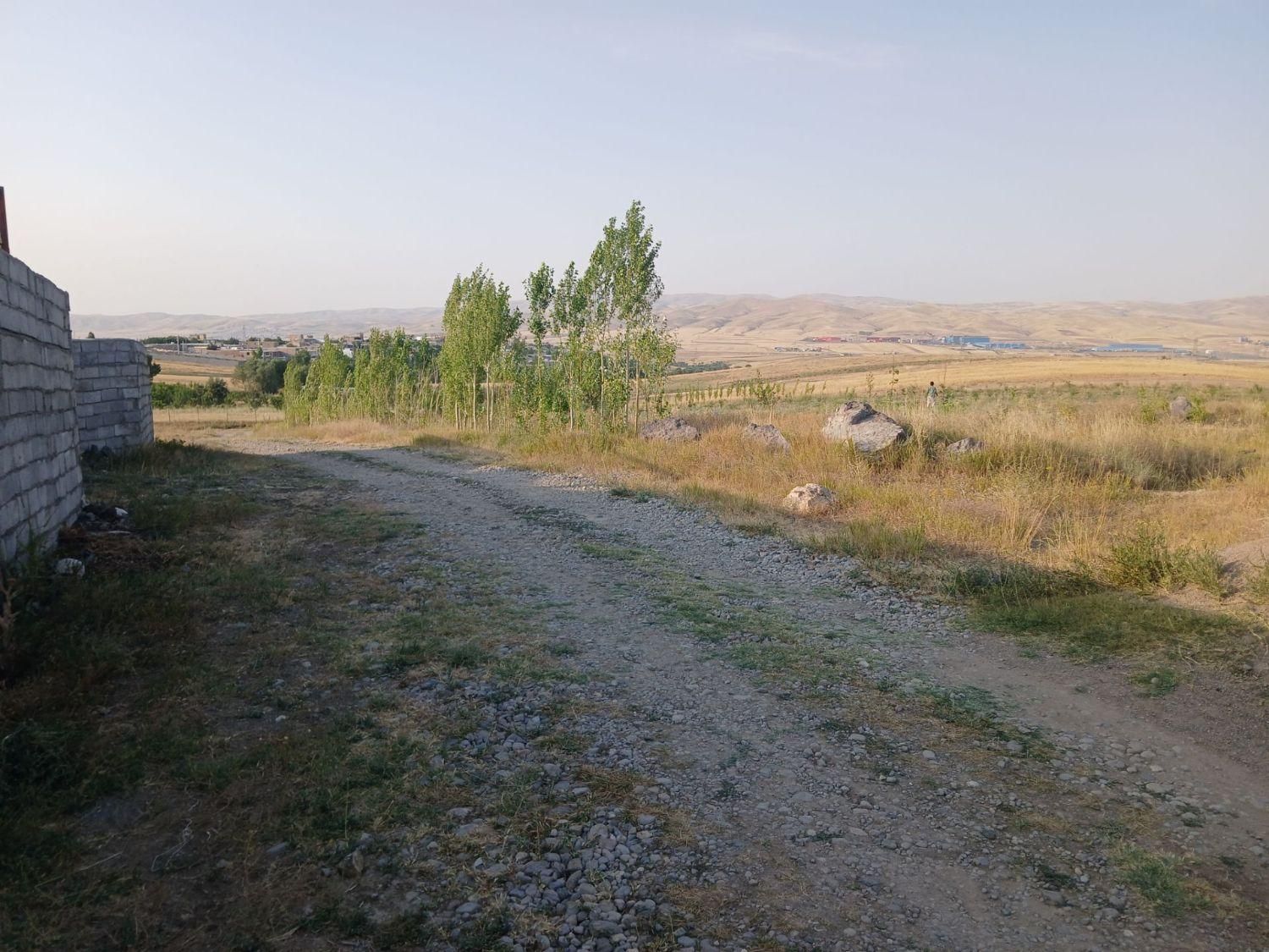 زمین در تکمداش شیروانده|فروش زمین و ملک کلنگی|تیکمه داش, |دیوار